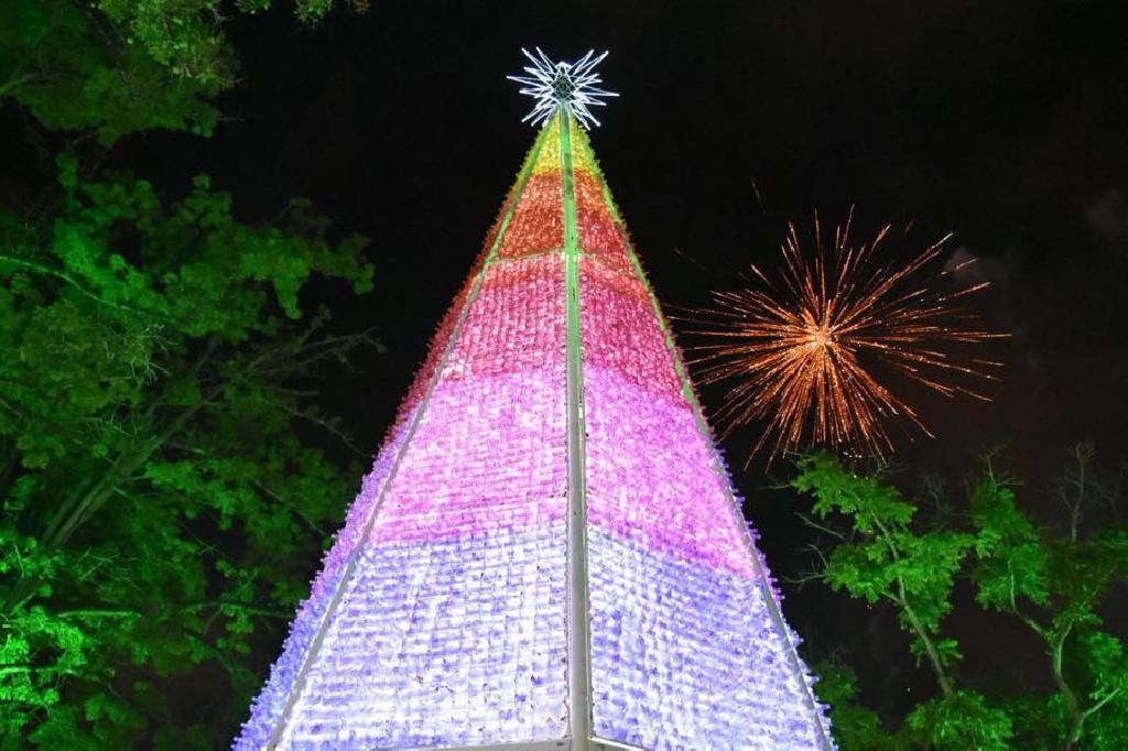 Hopi Hari - Nossa árvore de Natal será gigante!! A segunda maior do Brasil  ! Já está quase tudo pronto para a grande festa de acendimentu (iluminação)  no dia 26 de novembro